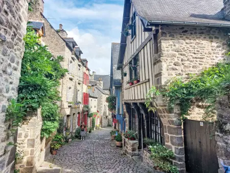 Les Agapanthes, Maison 9 personnes à Languenan - Photo 41