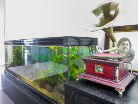 da Maria, Maison 8 personnes à Viana do Castelo - Photo 31