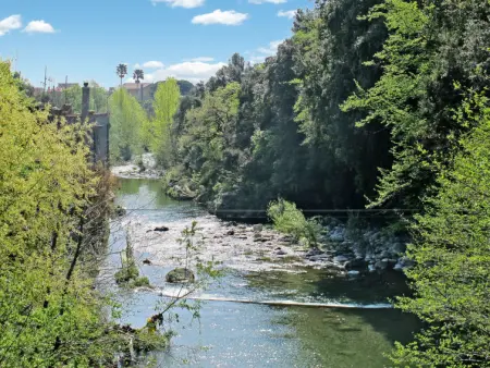 Villa Trabbia, Maison 6 personnes à Cisano sul Neva - Photo 29