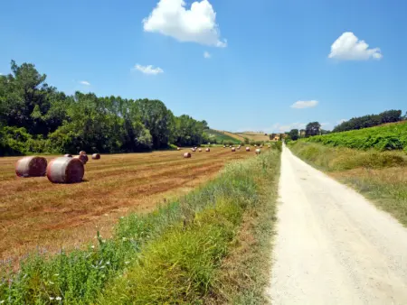 Il Sorriso, Gite 6 personnes à Certaldo - Photo 25