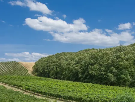 Il Sorriso, Gite 6 personnes à Certaldo - Photo 26