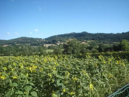 Agriturismo Podere Casenove Wohnung Magnolia, Appartement 4 personnes à Citerna - Photo 20