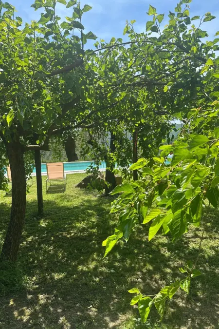 Vakantievilla 'Top Hill', Maison 14 personnes à Tresana - Photo 42