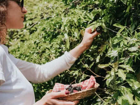 Edoardo' Ferienwohnung mit Pool, Appartement 5 personnes à Bucine - Photo 19
