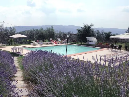 'Tommaso' mit Schwimmbad, Appartement 6 personnes à Bucine - Photo 35