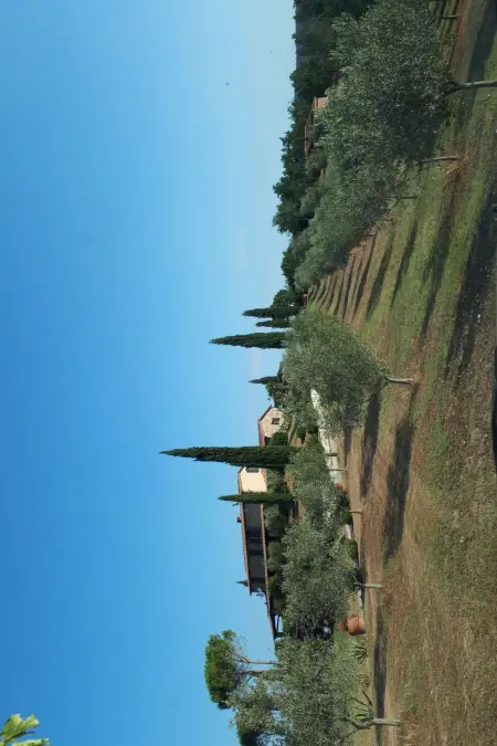 Romantisches Chalet in der Toskana, Maison 4 personnes à Massa Marittima - Photo 1