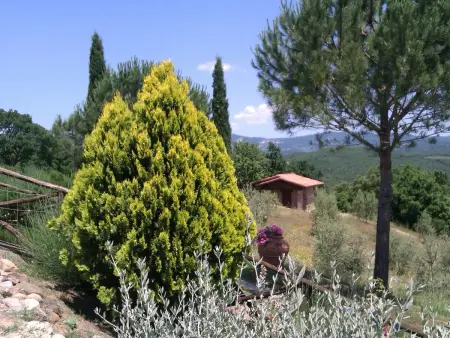 Romantisches Chalet in der Toskana, Maison 4 personnes à Massa Marittima - Photo 16