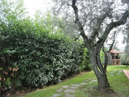 Wohnung mit Terrasse und Pool, Appartement 4 personnes à La Sassa - Photo 14