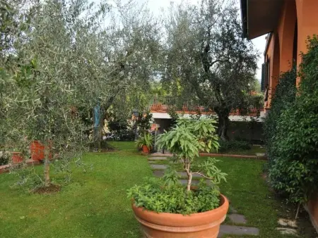 Wohnung mit Terrasse und Pool, Appartement 4 personnes à La Sassa - Photo 18