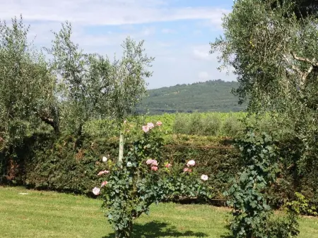 für 3 Personen  + 1 Kind ca. 75 m&sup2; in Cortona, Toskana (Provinz Arezzo) - Photo 9