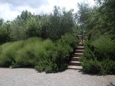 Appartement in Castiglione Del Lago mit Terrasse, gemeinsamem Pool und Garten - Photo 55