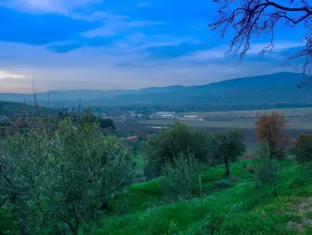 Renovierte Wohnung, Appartement 5 personnes à Passignano sul Trasimeno - Photo 17