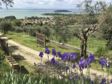 Renovierte Wohnung, Appartement 5 personnes à Passignano sul Trasimeno - Photo 20