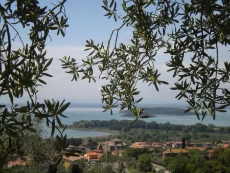 Renovierte Wohnung, Appartement 5 personnes à Passignano sul Trasimeno - Photo 17
