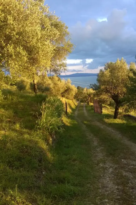 Renovierte Wohnung, Appartement 5 personnes à Passignano sul Trasimeno - Photo 19