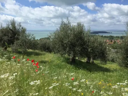 Renovierte Wohnung, Appartement 5 personnes à Passignano sul Trasimeno - Photo 28