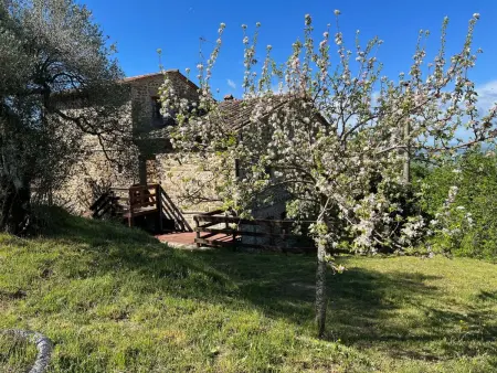 Renovierte Wohnung, Appartement 5 personnes à Passignano sul Trasimeno - Photo 32