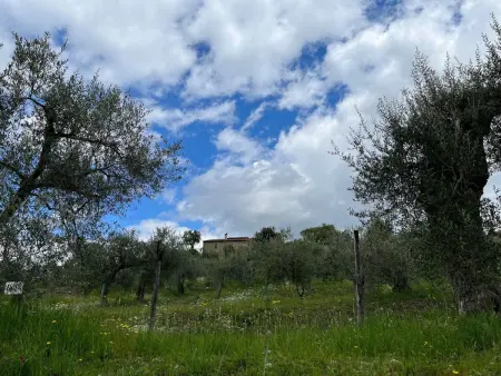 Renovierte Wohnung, Appartement 5 personnes à Passignano sul Trasimeno - Photo 33