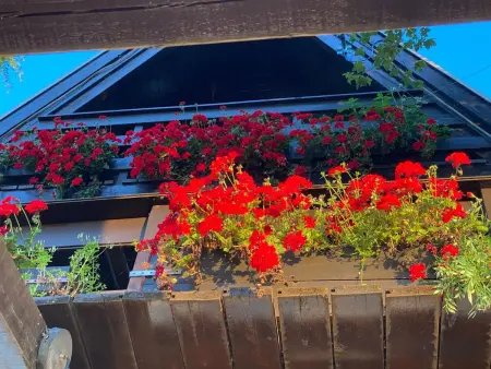 Ferienvilla mit Garten, Grill und Terrasse, Maison 8 personnes à Trevignano Romano - Photo 109