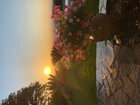 Ferienvilla mit Garten, Grill und Terrasse, Maison 8 personnes à Trevignano Romano - Photo 111