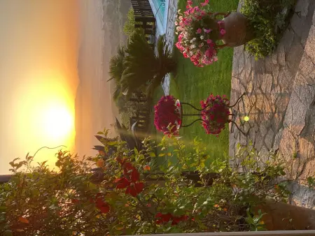 Ferienvilla mit Garten, Grill und Terrasse, Maison 8 personnes à Trevignano Romano - Photo 118
