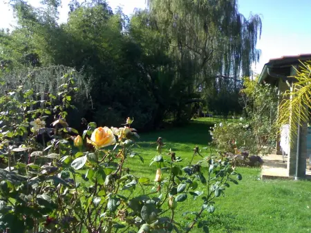 Villa 'Bei Rom' mit privatem Pool, Maison 8 personnes à Canale Monterano - Photo 8