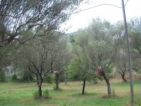 Ferienvilla  Melles  mit privatem Pool, Maison 8 personnes à Rofrano - Photo 4