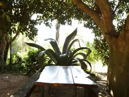 'Marianna' mit Privatparkplatz, Maison 7 personnes à Parghelia - Photo 32
