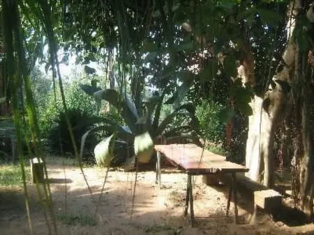 'Villetta Loco, Maison 8 personnes à Capo Vaticano - Photo 4