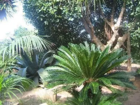 'Villetta Loco, Maison 8 personnes à Capo Vaticano - Photo 8