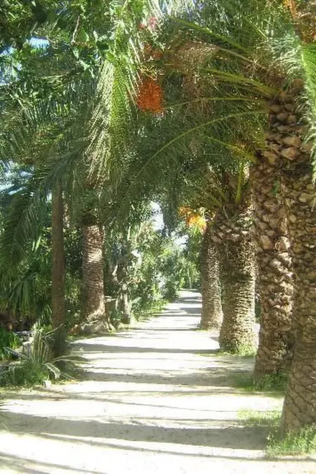 'Villetta Loco, Maison 8 personnes à Capo Vaticano - Photo 14