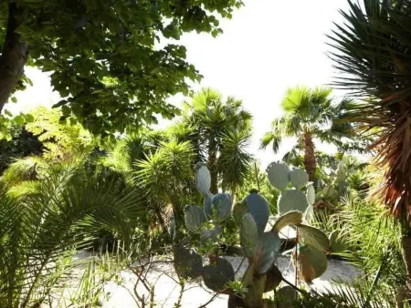 'Villetta Loco, Maison 8 personnes à Capo Vaticano - Photo 30