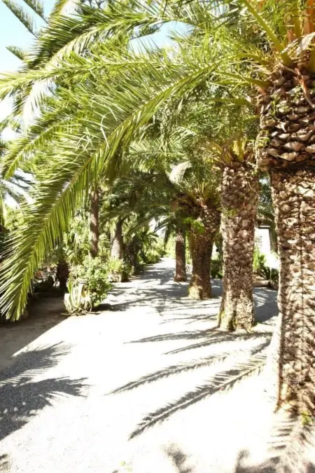 'Villetta Loco, Maison 8 personnes à Capo Vaticano - Photo 33