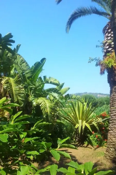 'Villetta Sara, Maison 5 personnes à Capo Vaticano - Photo 29