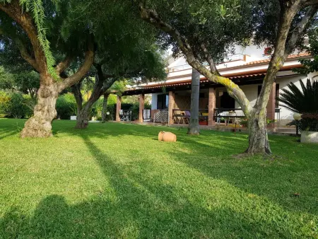 Wohnung 'Ilaria, Appartement 5 personnes à Capo Vaticano - Photo 15