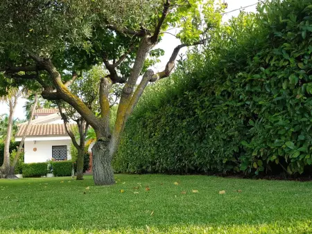Wohnung 'Ilaria, Appartement 5 personnes à Capo Vaticano - Photo 21