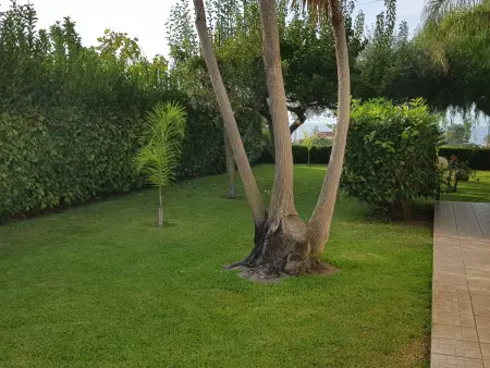 Wohnung 'Ilaria, Appartement 5 personnes à Capo Vaticano - Photo 31