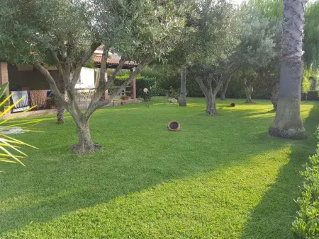 Wohnung 'Ilaria, Appartement 5 personnes à Capo Vaticano - Photo 34