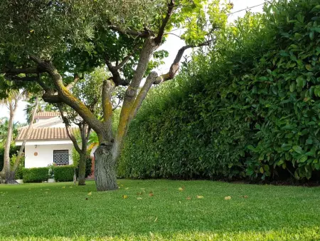 Wohnung 'Ilaria, Appartement 5 personnes à Capo Vaticano - Photo 37