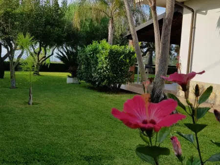 Wohnung 'Ilaria, Appartement 5 personnes à Capo Vaticano - Photo 39