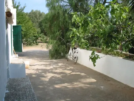 Altes Bauernhaus im Grünen, Appartement 4 personnes à Gallipoli - Photo 3