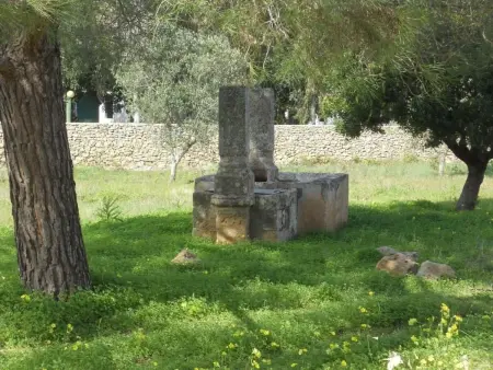 Altes Bauernhaus im Grünen, Appartement 4 personnes à Gallipoli - Photo 8
