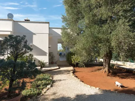 Villa Vistamare, Maison 6 personnes à Carovigno - Photo 5