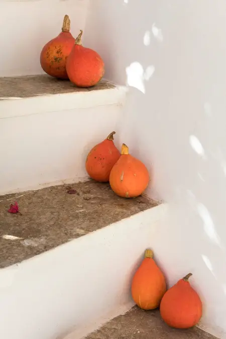 Villa Vistamare, Maison 6 personnes à Carovigno - Photo 30