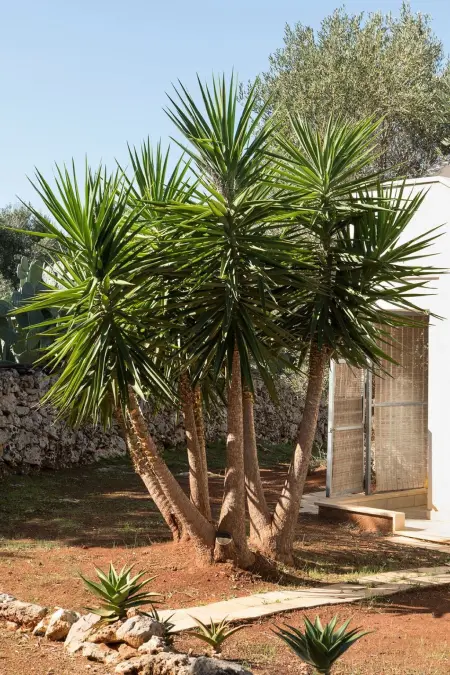 Villa Vistamare, Maison 6 personnes à Carovigno - Photo 32