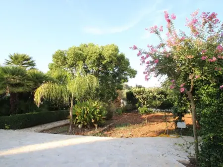 Abbasciu, Maison 10 personnes à San Vito Dei Normanni - Photo 11