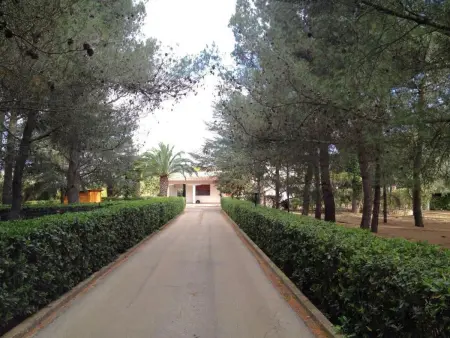 Abbasciu, Maison 10 personnes à San Vito Dei Normanni - Photo 19