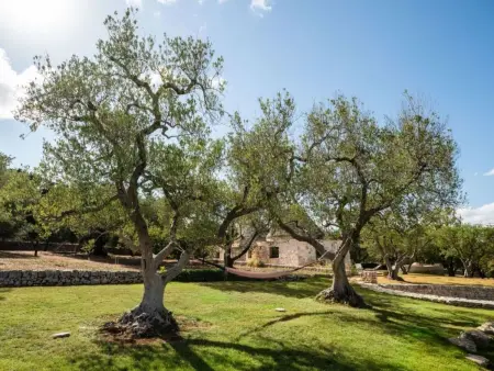 Schönes Steinhaus mit Pool und Panoramablick, Maison 14 personnes à Ostuni - Photo 9