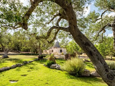 Schönes Steinhaus mit Pool und Panoramablick, Maison 14 personnes à Ostuni - Photo 13