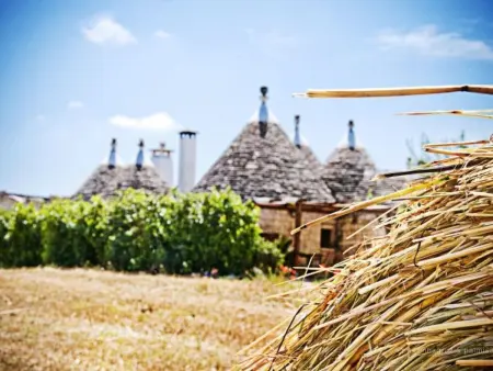 Kirschbaum Trullo, Entspannung und Essen und Wein - Photo 35